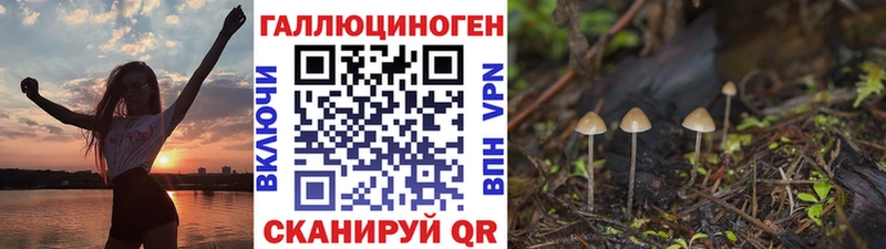 hydra зеркало Белгород Псилоцибиновые грибы Psilocybe купить наркотики цена